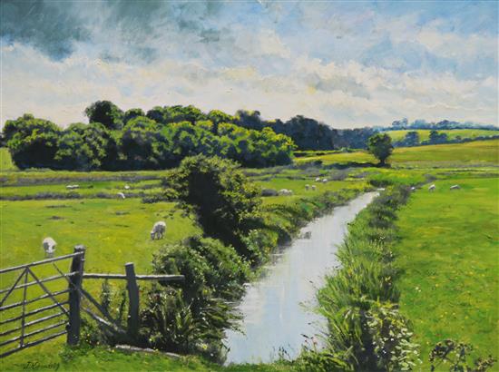 Dave Edmonds, four oils on canvas, views of Icklesham and Ecclesbourne Glen, 37 x 49cm
